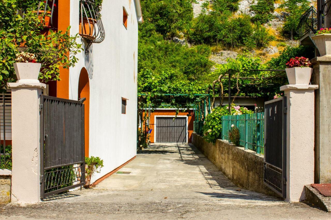 Apartments Rustic Kotor Exteriör bild